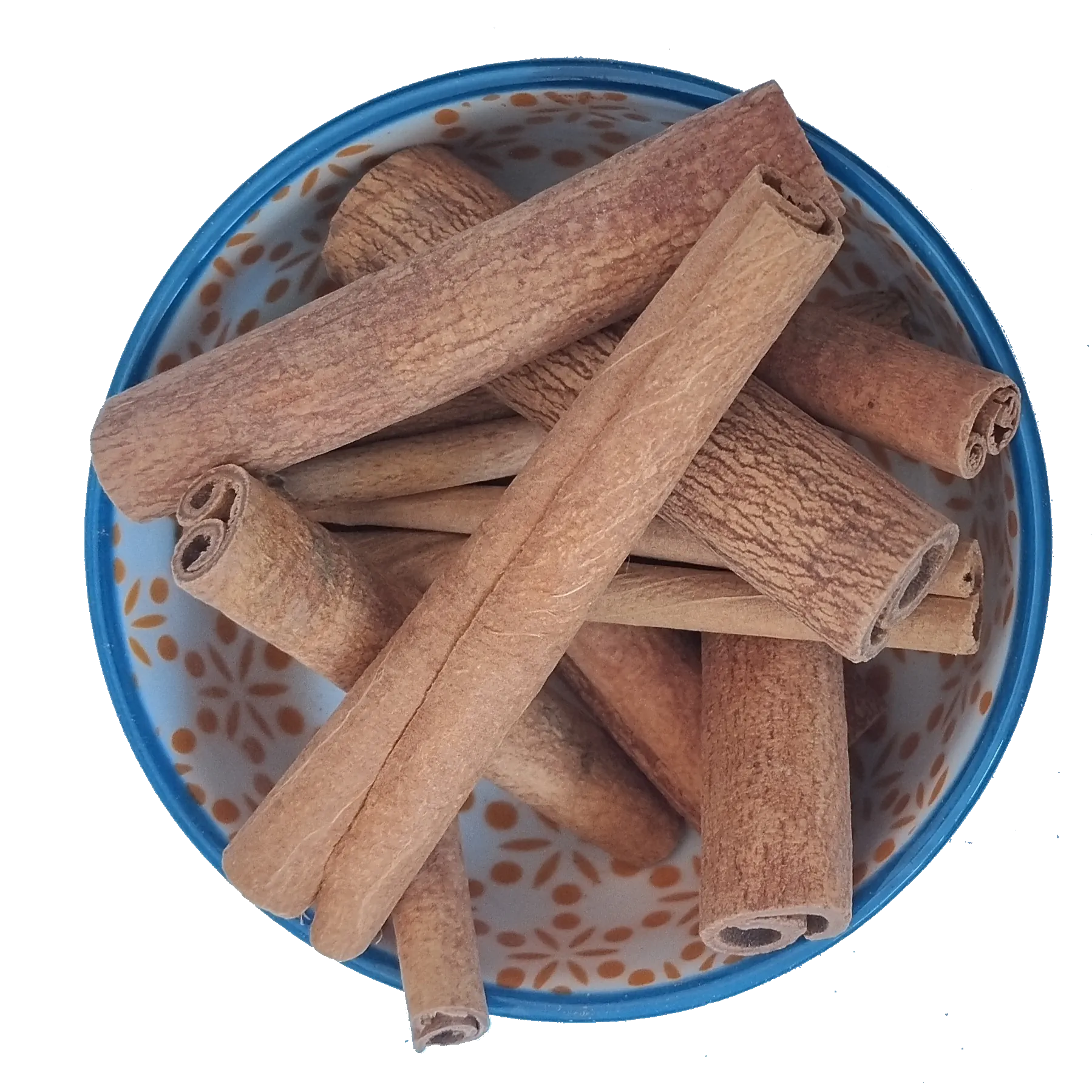 Canela Rama Cassia