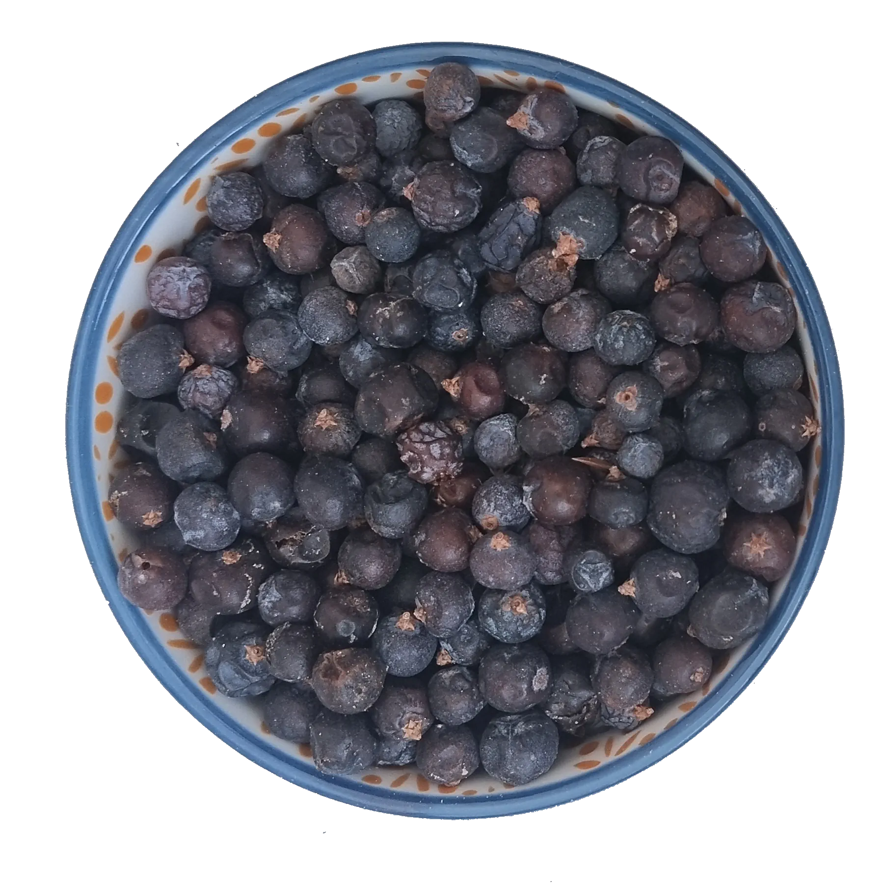Enebro