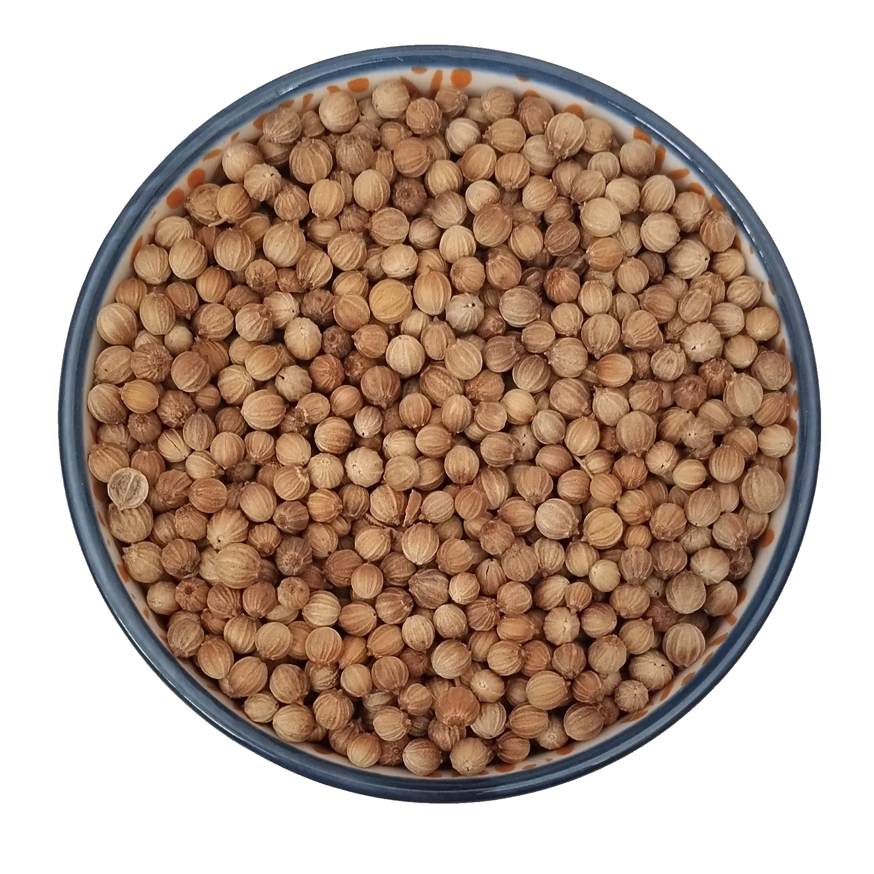 Cilantro Grano