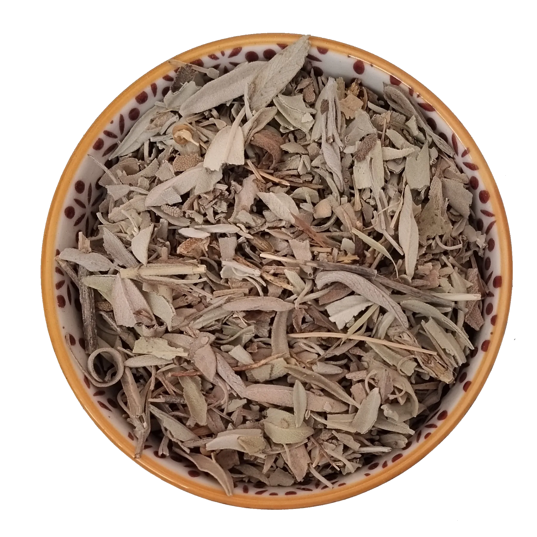 Salvia